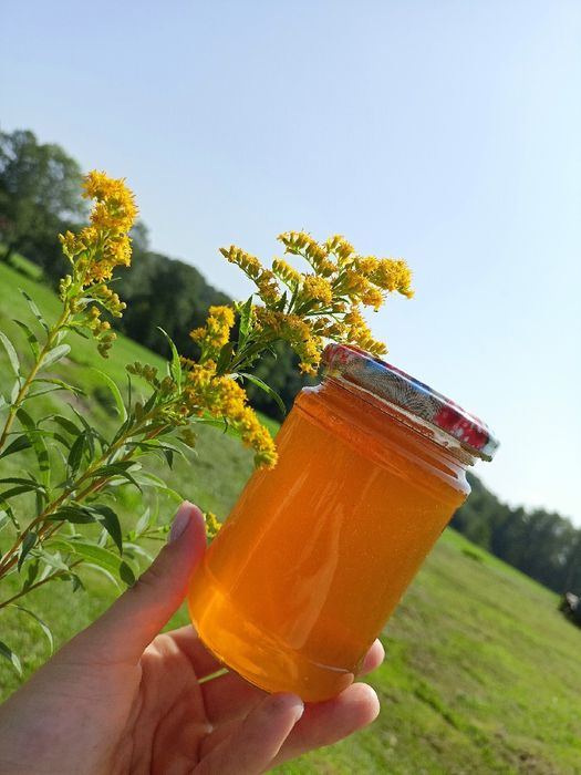 Miód z wysyłką z własnej pasieki
