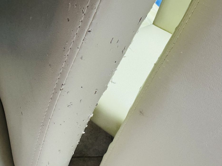Cadeiras de Sala em Pele
