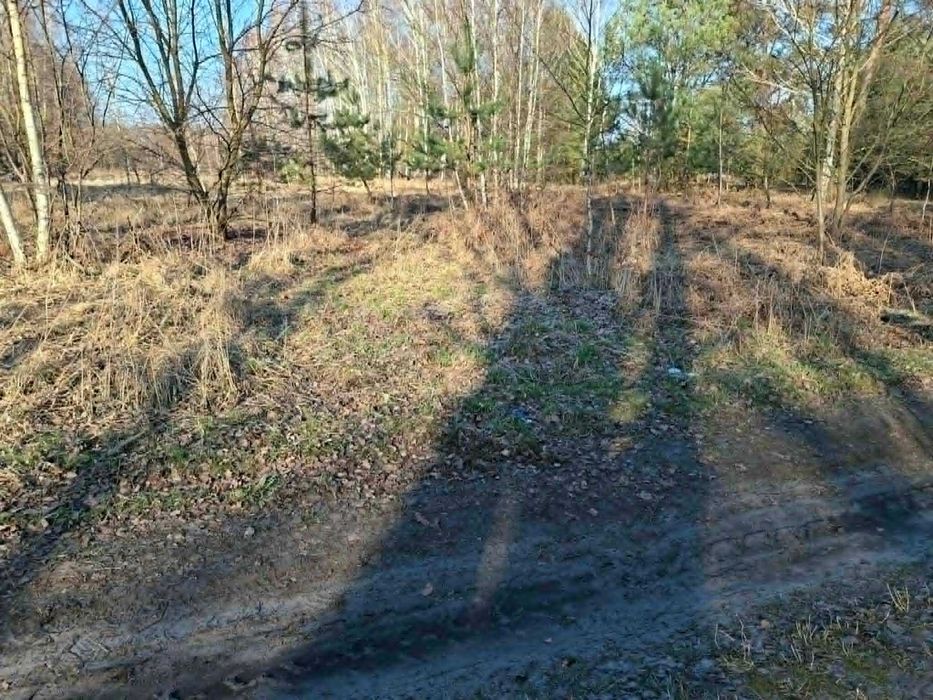 Działka budowlana Radziwiłłów - Widok 5