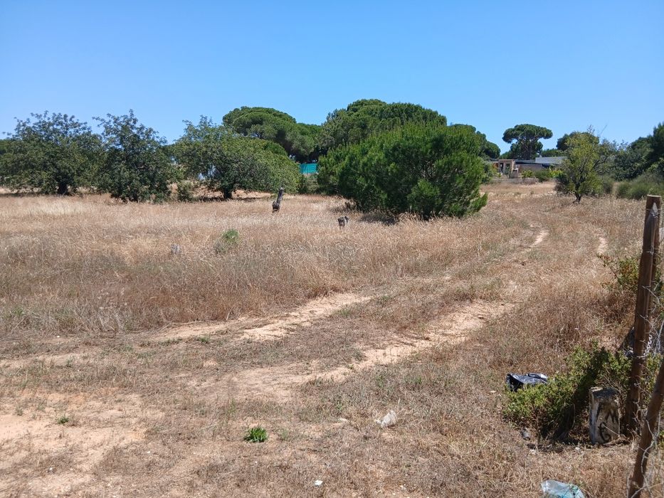 Terreno perto vila sol Quarteira