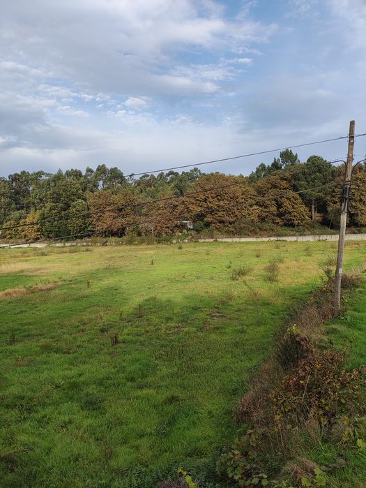 Arrenda-se Terreno Agrícola em Lustosa, Lousada – 22.000 m²