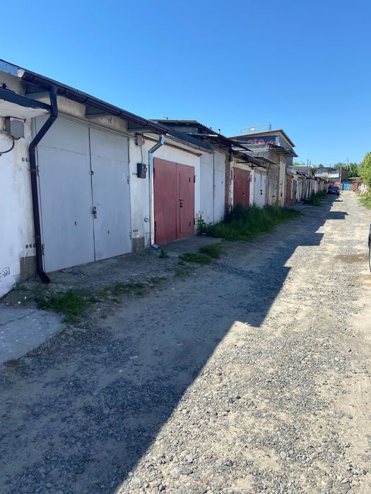 здам гараж в оренду, Виставка