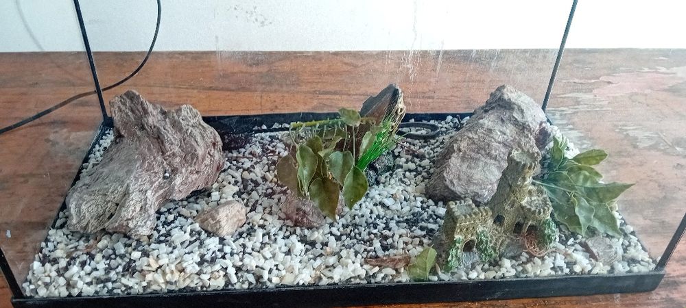 Aquário Aquatlantis 60 + oferta de acessórios