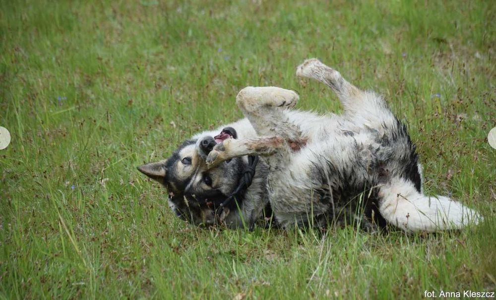 Zapomniany i niechciany Atos...