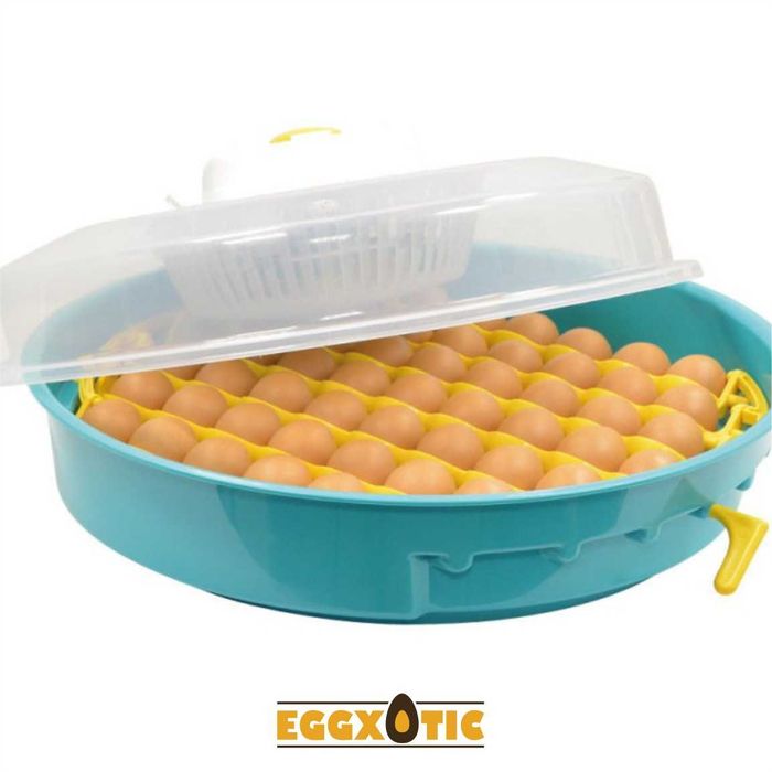 Chocadeira Semi Automática 51 Ovos Galinha