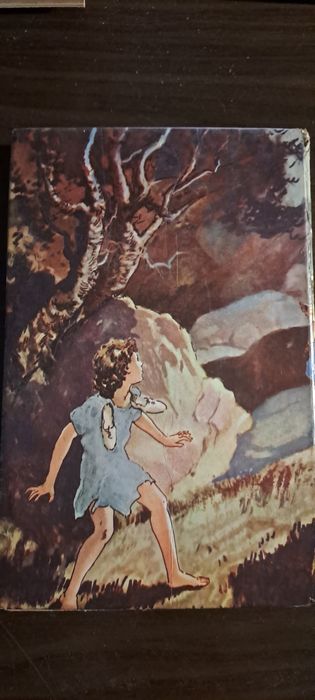 Livro "A Aventura no Castelo "