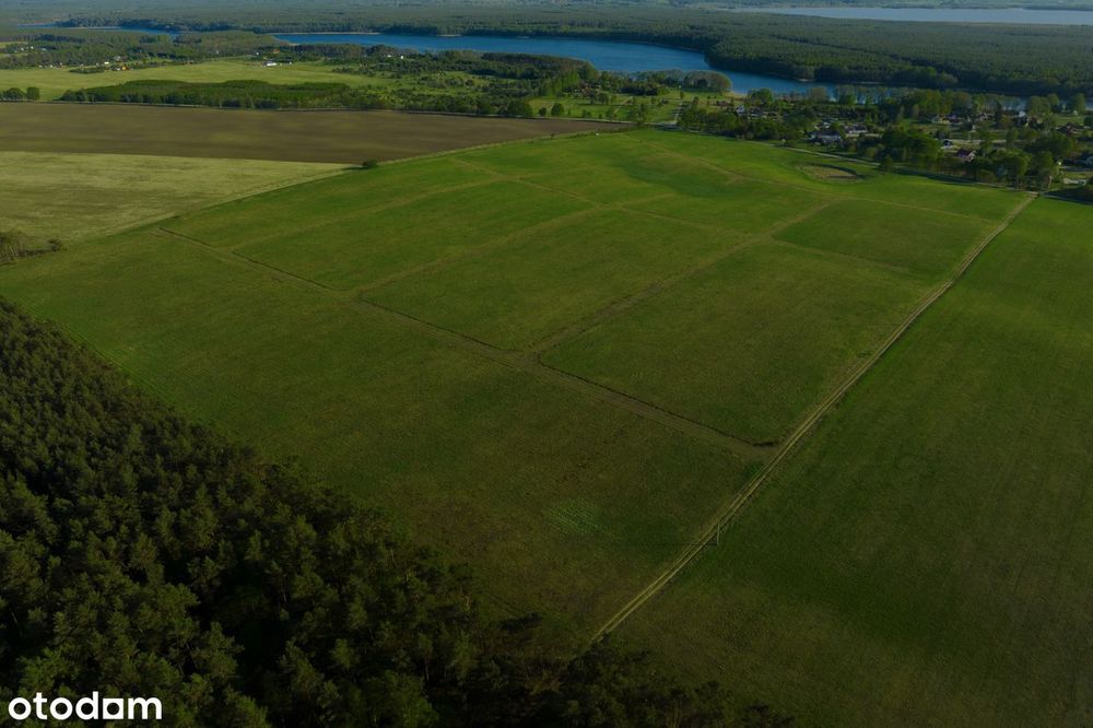 Działka nad Jeziorem Dołgie| las | natura - BUDOWLANA