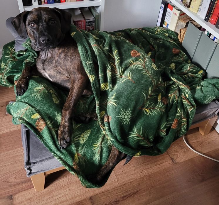 Używane legowisko Hectolove Duo Tierra rozmiar M