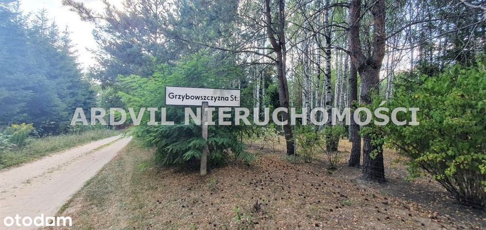 Twoja oaza spokoju! Grzybowszczyzna Stara.