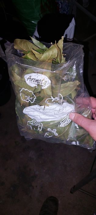 Folhas de Louro, producto natural