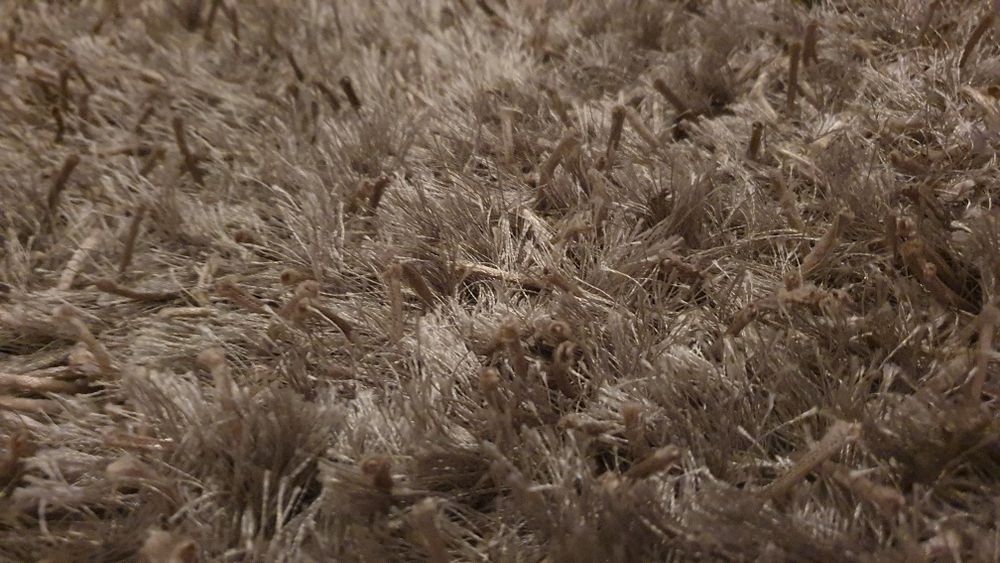 Tapete cinza moderno