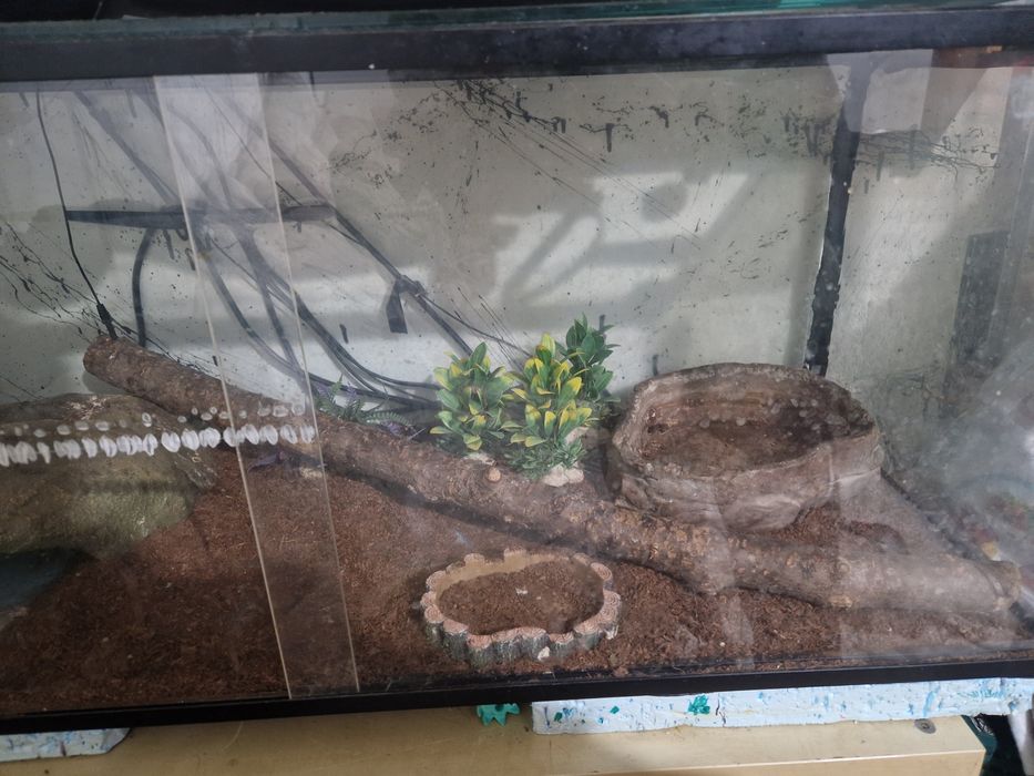 Terrário para répteis.