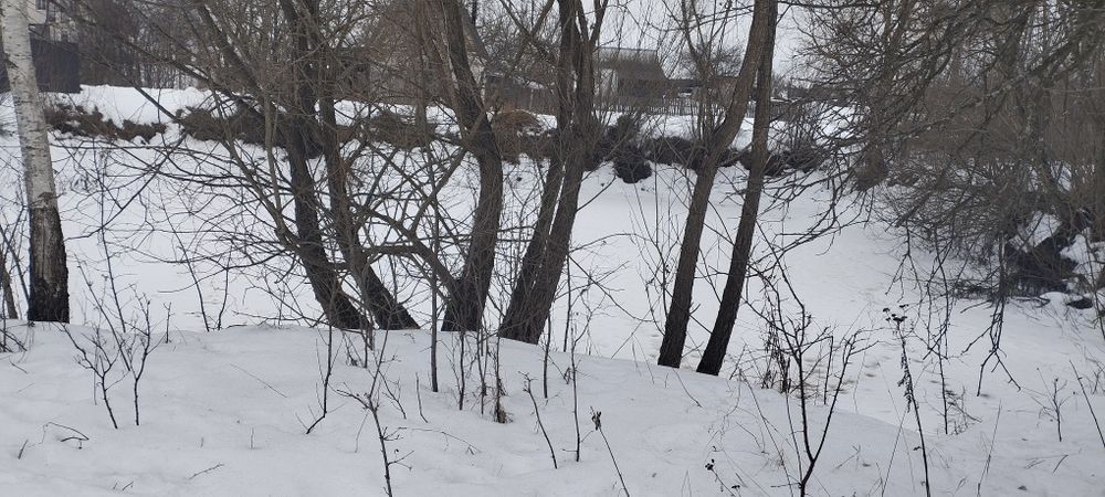 Земельна ділянка СТ Дубовець