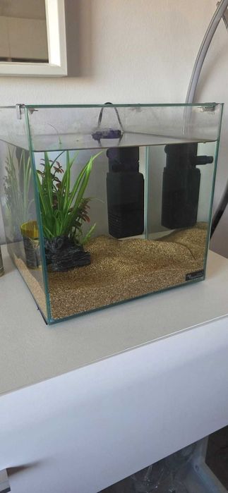 Vendo aquário Cubo 15L