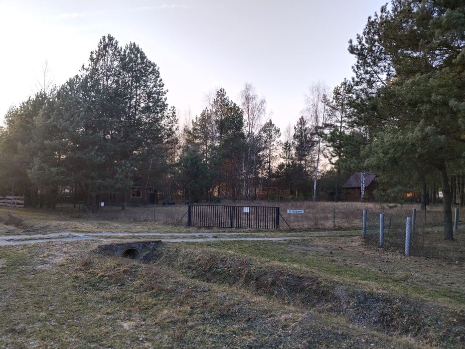 Zdjęcie 7