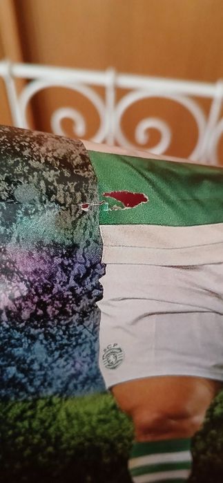 Poster Daniel Bragança