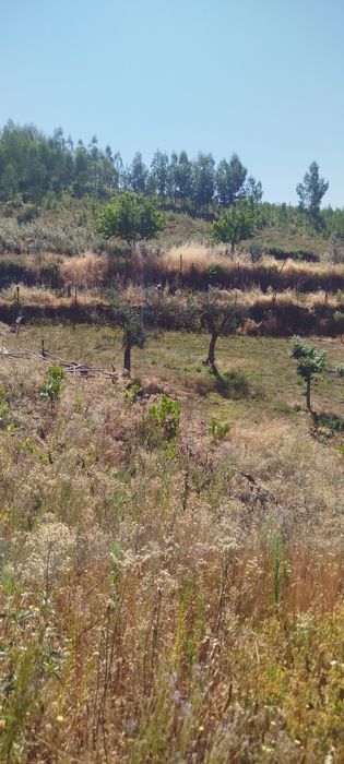 Quinta rural com  41000 metros s quadrados