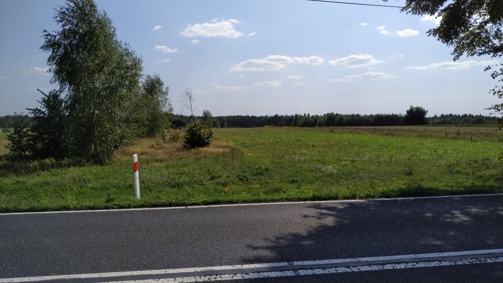 Działka rolna grunty rolne  Przyłanki koło Przedborza