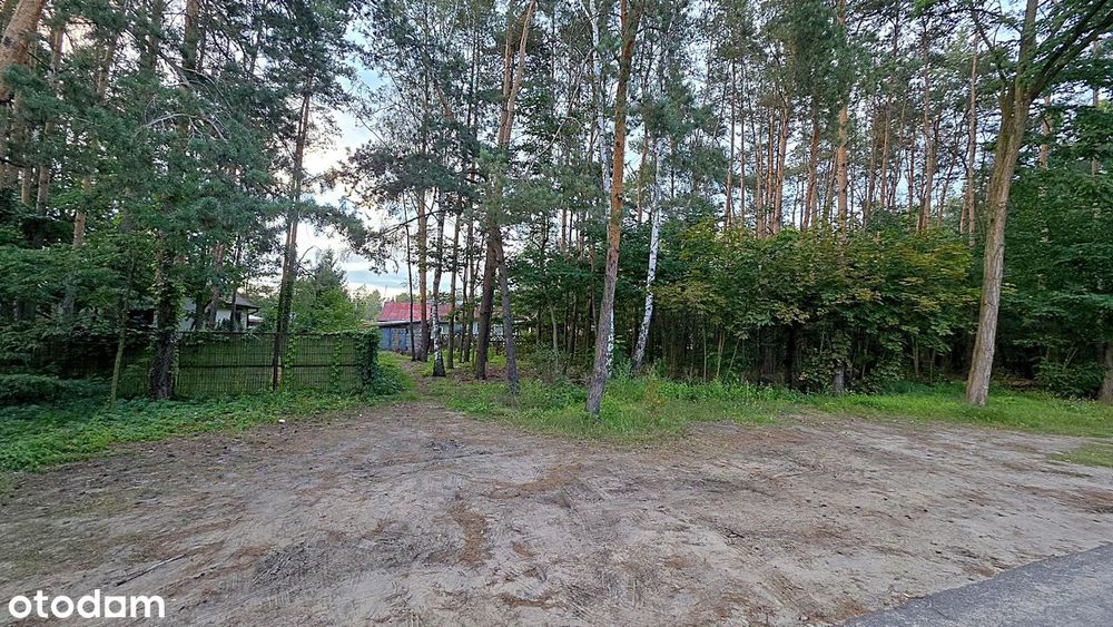 Zdjęcie 4