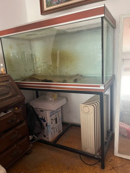 Aquário 500 litros + móvel em metal