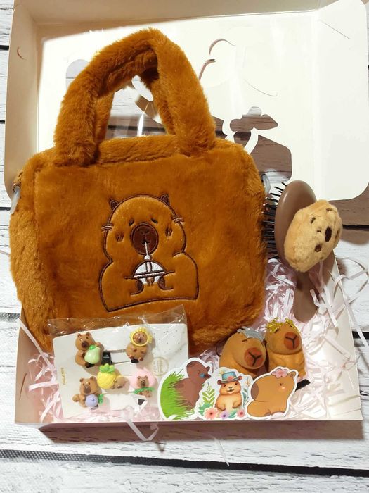 Подарунковий набір капібара з сумочкою заколки подарунок для дівчинки
