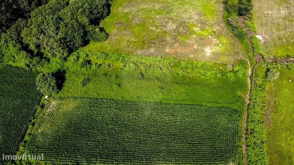 Terreno  para venda