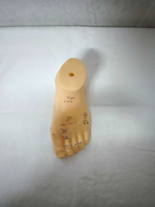 MTC - figura microssistema do pé