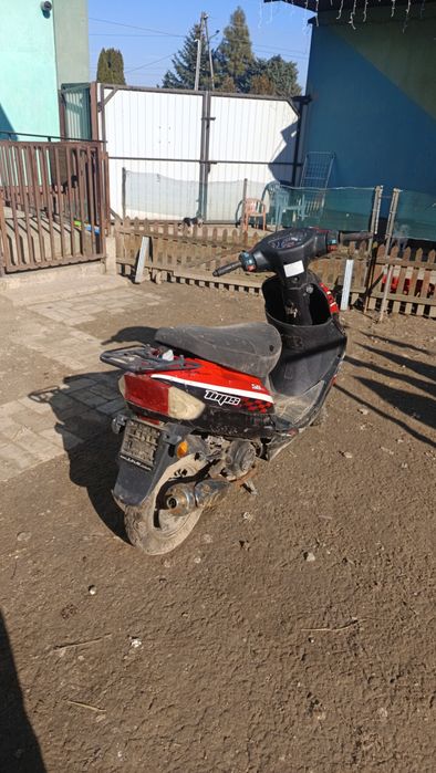 ZIP Tops 50 Czytać Opis