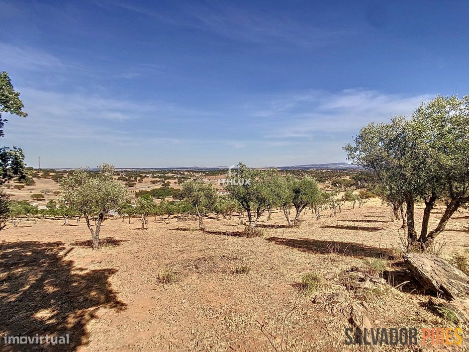 Quinta com vista 360º