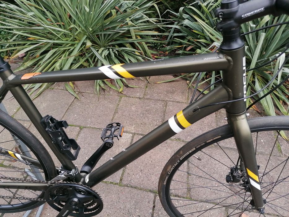 Rower fitness, szosa Focus Arriba - Ładny.