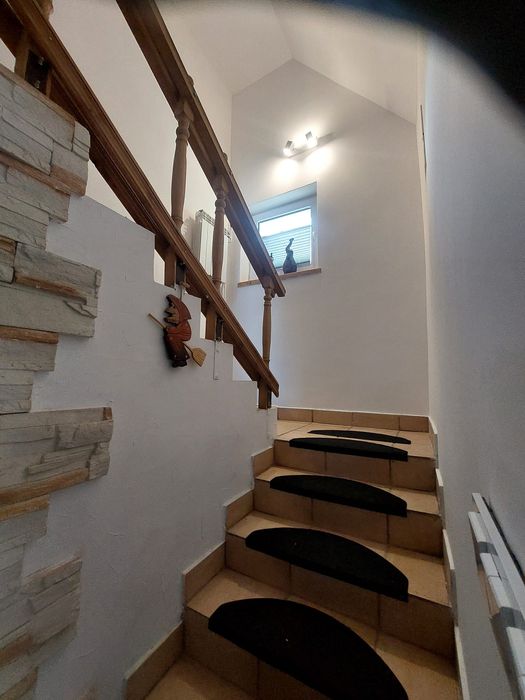 Domek do wynajęcia - Zygmuntówka w lesie!