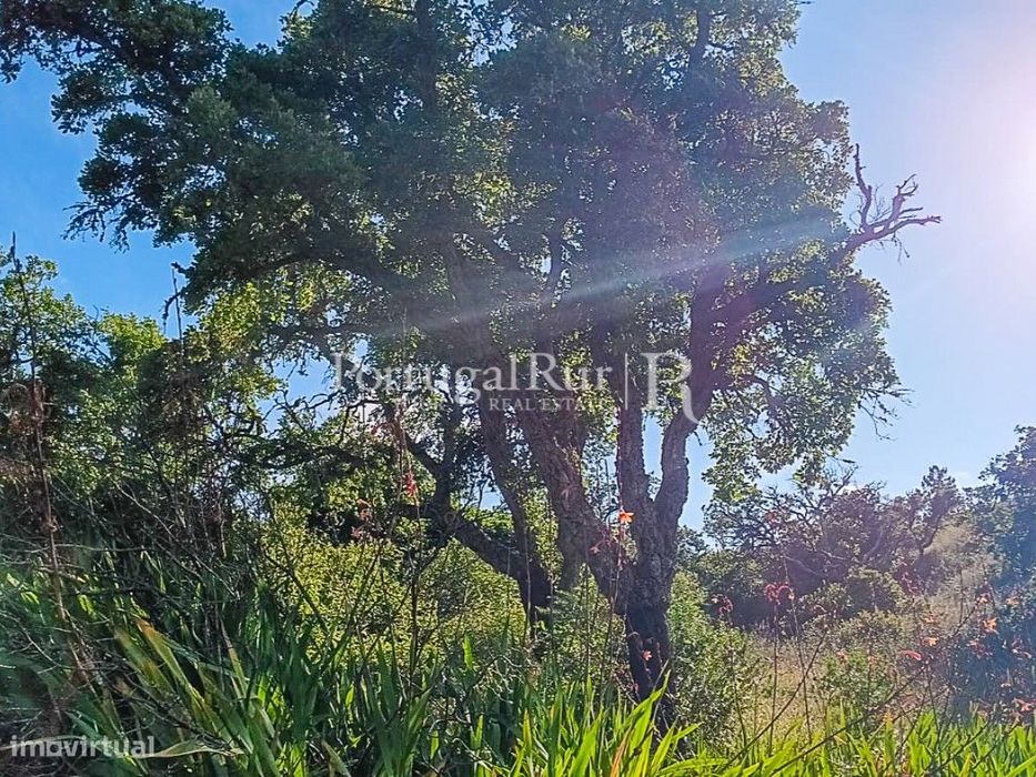Terreno de Sobral, a 3 KM das Praias Costa Vicentina Algarve — Bordeira, Faro