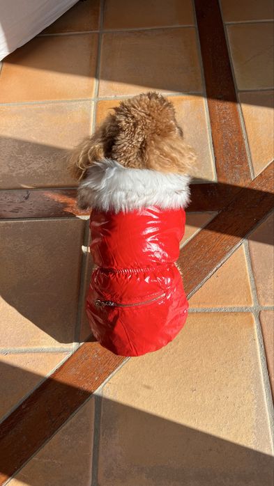 Зимняя курточка на меху для хвостика