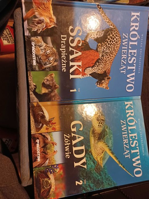 Książka królestwo zwierząt