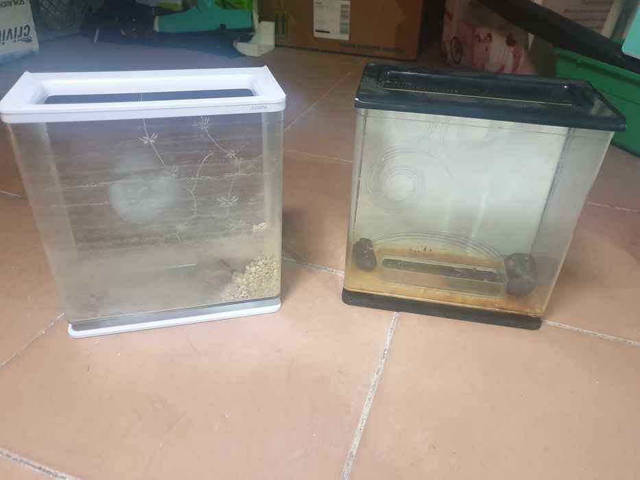 Aquários decorativos