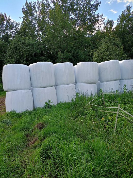 Sianokiszonka siano na sprzedaż