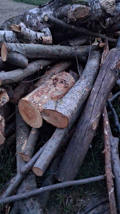 Sprzedam drewno iglaste i liściaste