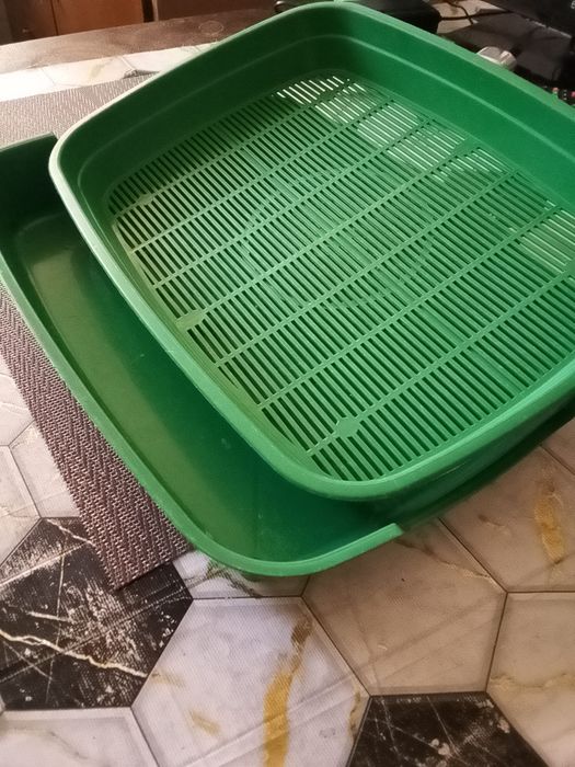 Лоток для кота/кошки