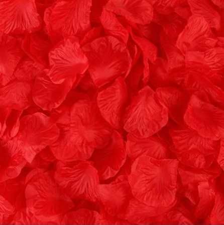 Pétalas para surpresas românticas, casais, namorados casamentos namoro