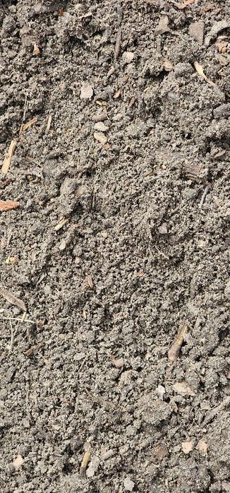 Ziemia siana czarnoziem