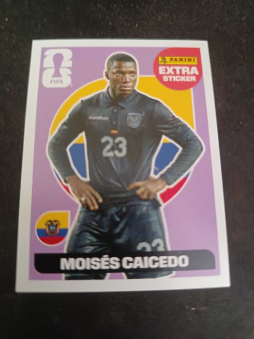 Moisés caicedo legend lilás
