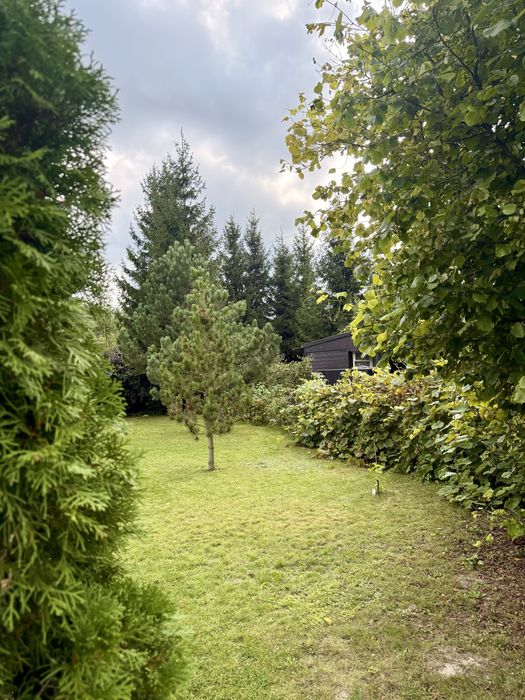 Działka ROD Gredzice Ciechanów