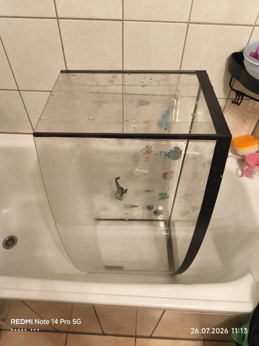 Duże akwarium, gięta szyba