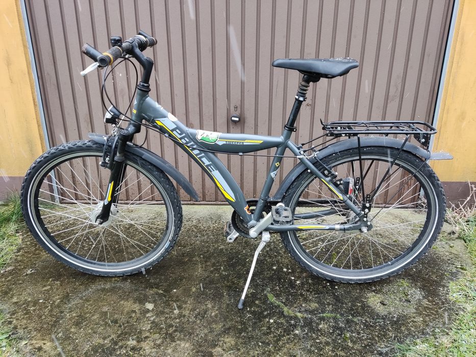 Rower 24" Prince