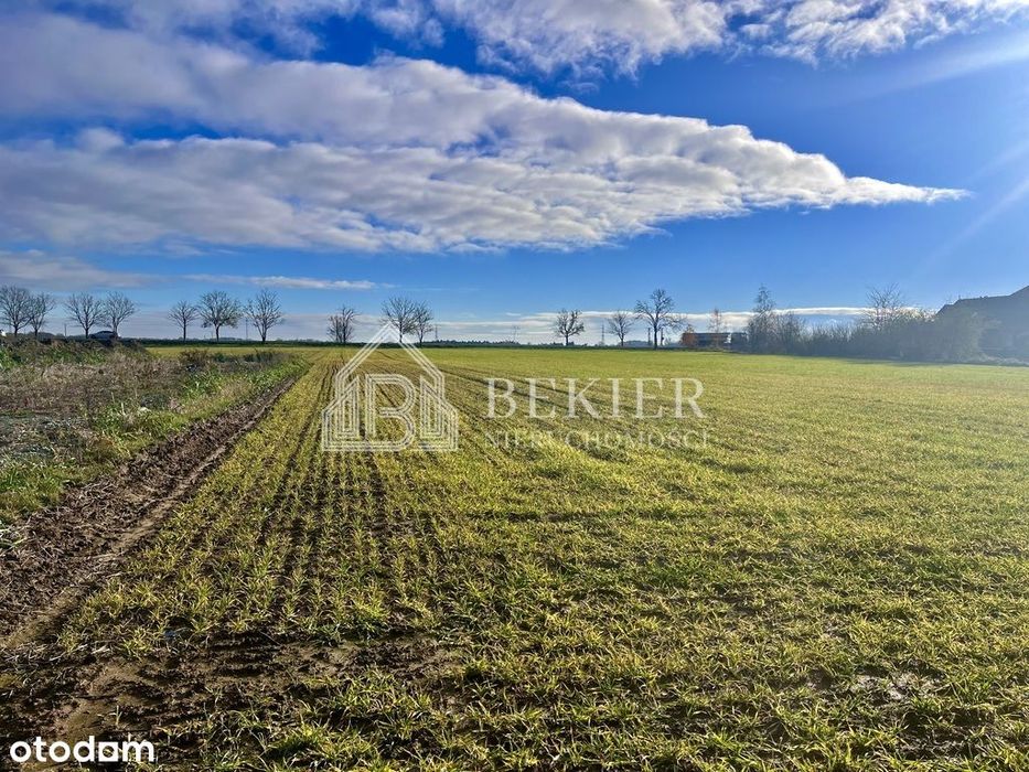 Mpzp | 1079 m2 | Budowlana | Gniechowice