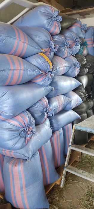 Sprzedam owies70 zł saladera 65 zł