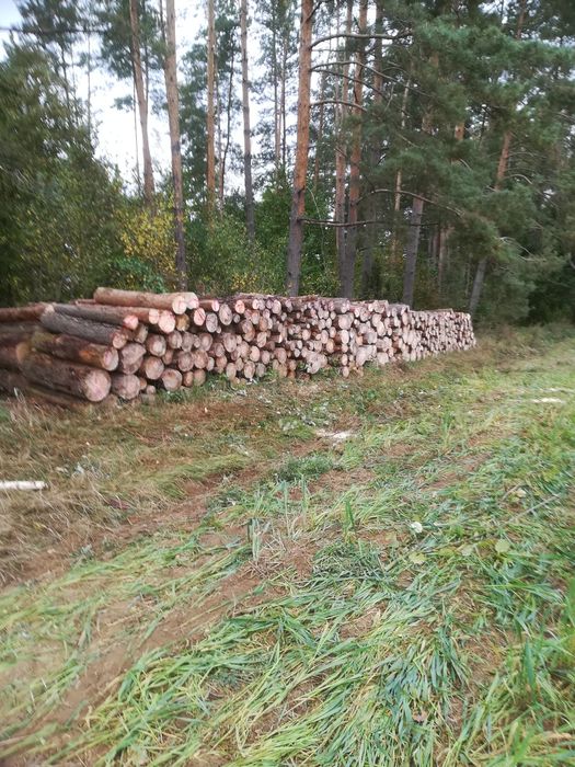 Sprzedam drewno opalowe