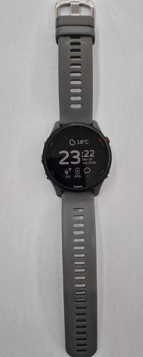 Smartwatch Garmin Forerunner 255