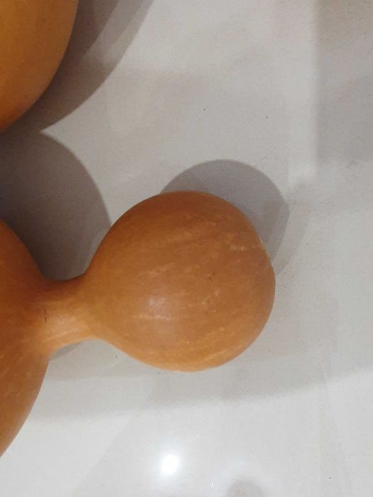 Tykwy owoc zdrewniały z Nigerii + gratis