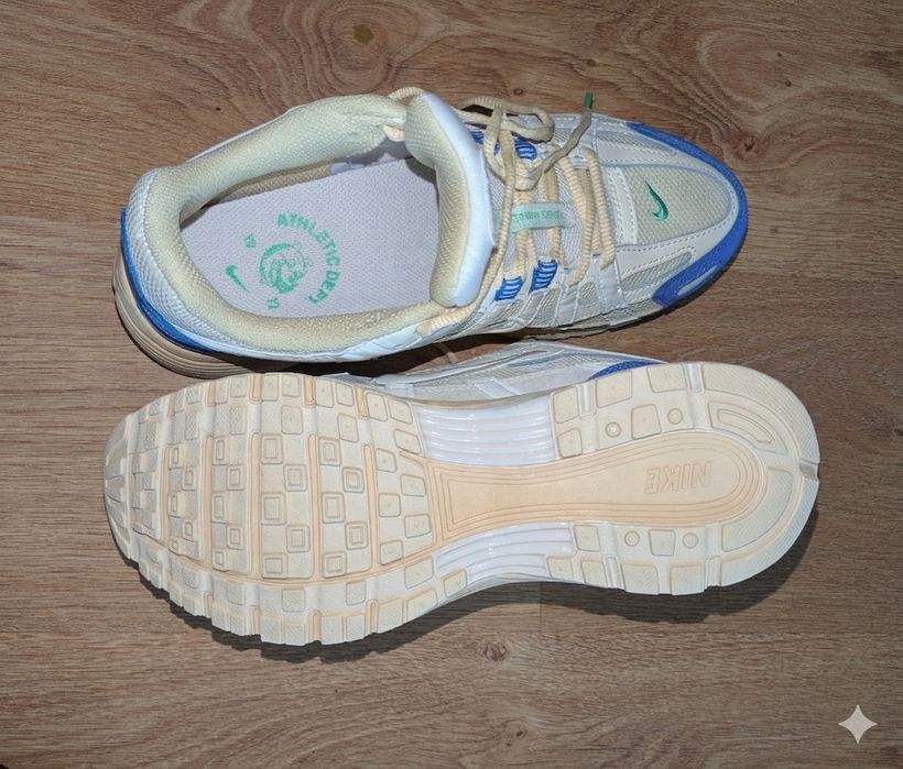 Кросівки Nike p-6000